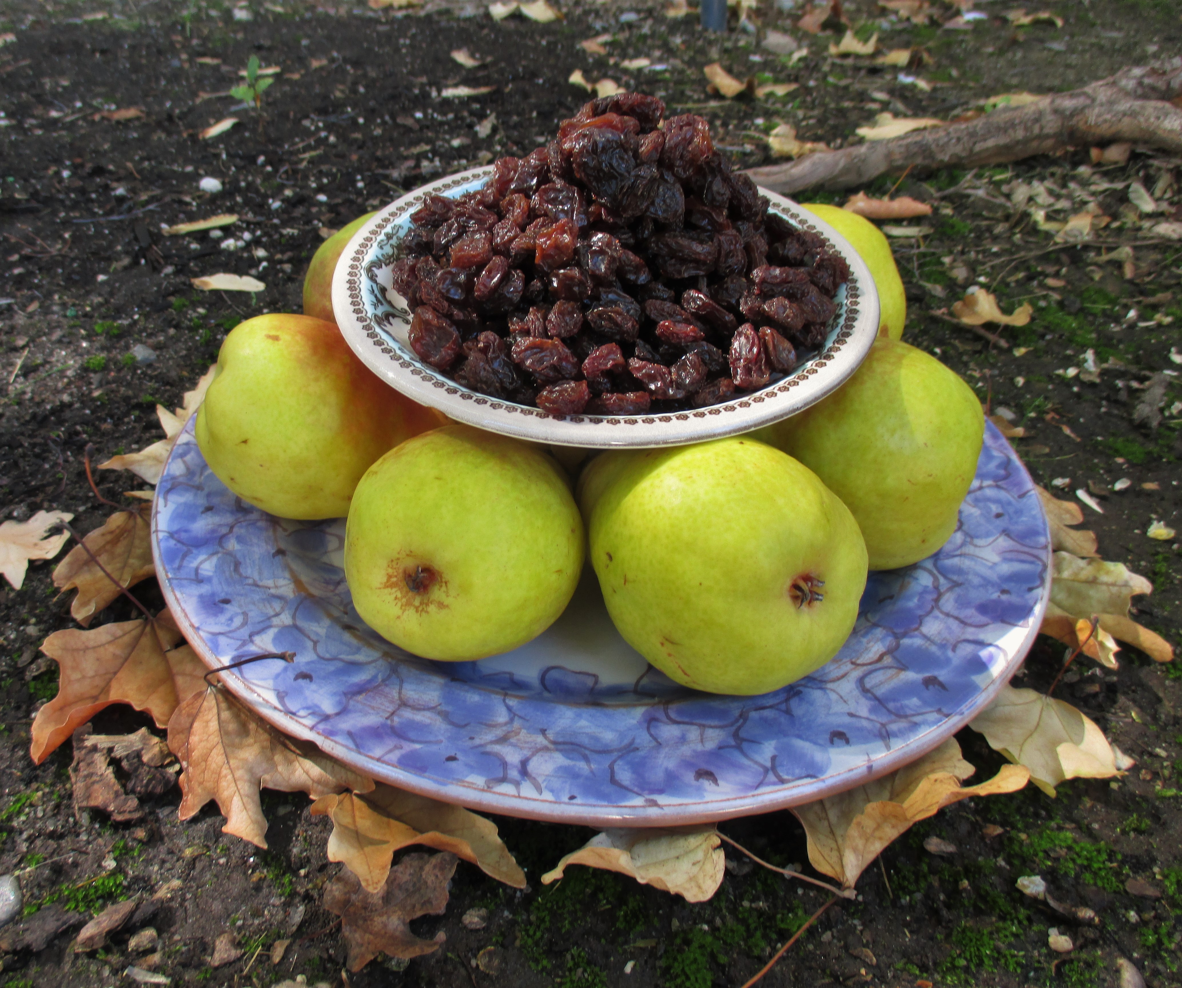 PUMPKINS FILLING FROM THOSE BITCHIN FAIRIES .jpg