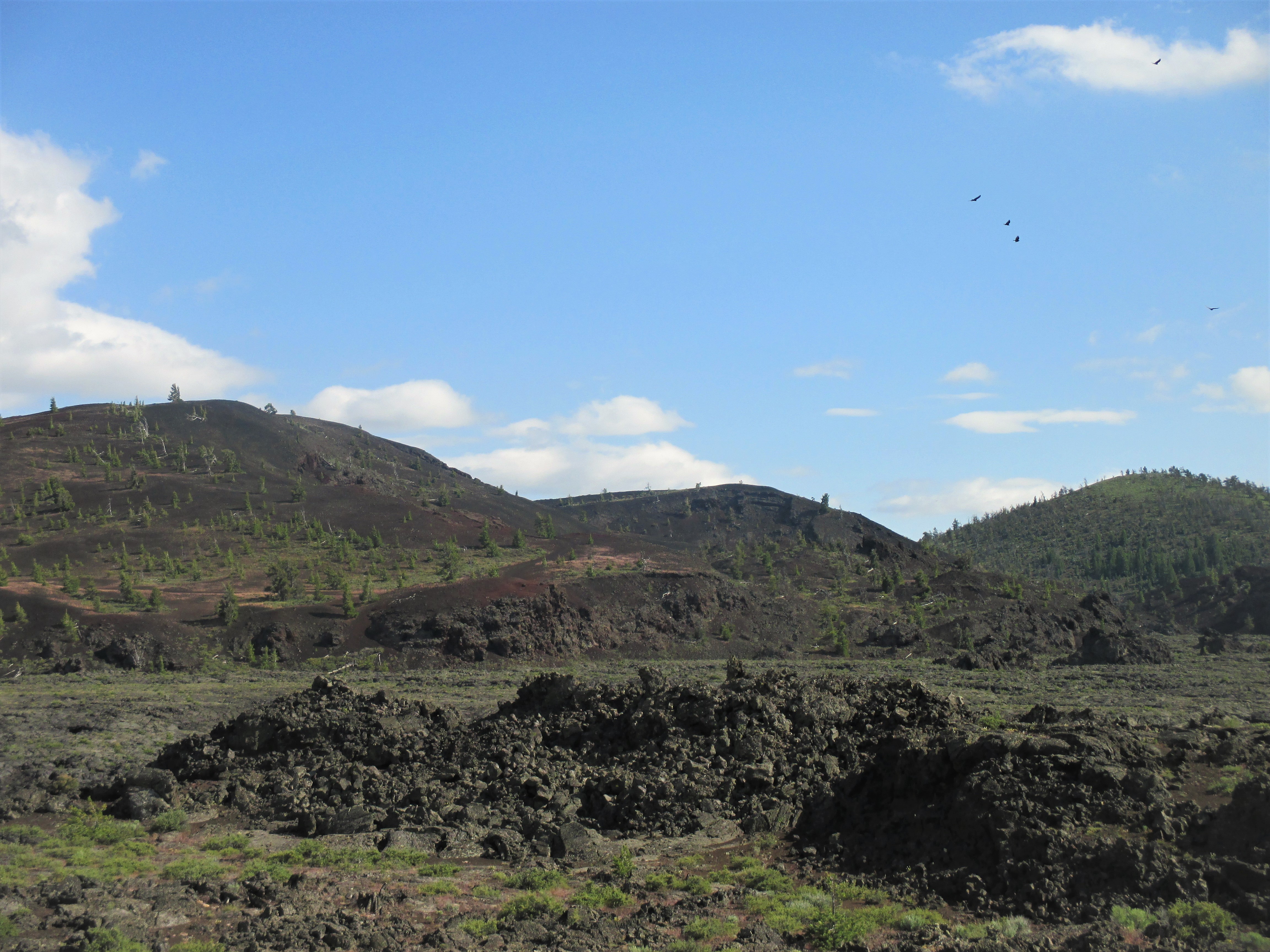p cinder cones with vultures
